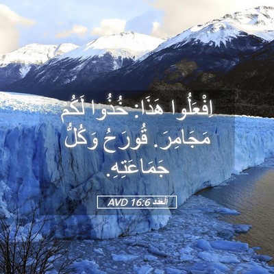 Picture 05 - اَلْعَدَد 16:6 AVD - اِفْعَلُوا هَذَا: خُذُوا - Bible Verse Picture