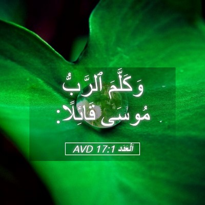 Picture 05 - اَلْعَدَد 17:1 AVD - وَكَلَّمَ ٱلرَّبُّ مُوسَى - Bible Verse Picture