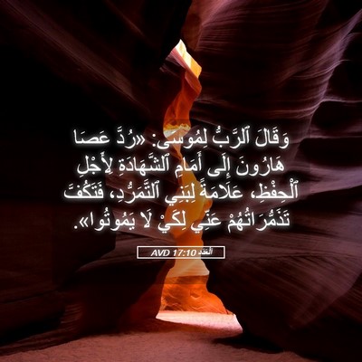 Picture 05 - اَلْعَدَد 17:10 AVD - وَقَالَ ٱلرَّبُّ لِمُوسَى: - Bible Verse Picture