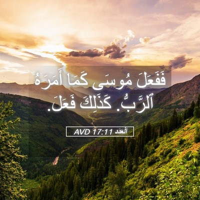 Picture 05 - اَلْعَدَد 17:11 AVD - فَفَعَلَ مُوسَى كَمَا - Bible Verse Picture