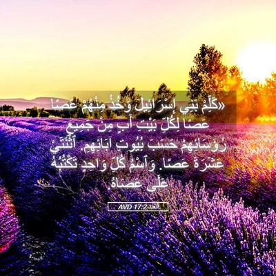 Picture 05 - اَلْعَدَد 17:2 AVD - «كَلِّمْ بَنِي - Bible Verse Picture