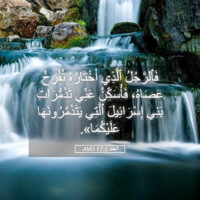 Picture 05 - اَلْعَدَد 17:5 AVD - فَٱلرَّجُلُ ٱلَّذِي - Bible Verse Picture