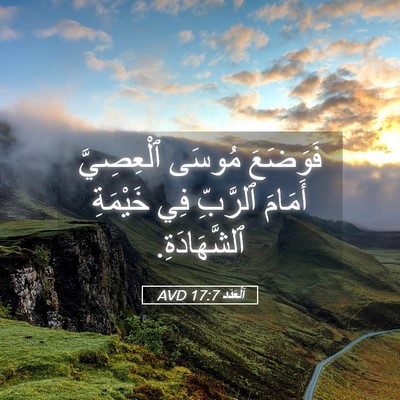 Picture 05 - اَلْعَدَد 17:7 AVD - فَوَضَعَ مُوسَى - Bible Verse Picture