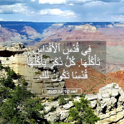 Picture 05 - اَلْعَدَد 18:10 AVD - فِي قُدْسِ ٱلْأَقْدَاسِ - Bible Verse Picture