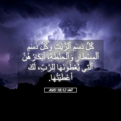 Picture 05 - اَلْعَدَد 18:12 AVD - كُلُّ دَسَمِ ٱلزَّيْتِ - Bible Verse Picture