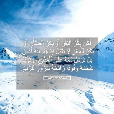 Picture 05 - اَلْعَدَد 18:17 AVD - لَكِنْ بِكْرُ ٱلْبَقَرِ - Bible Verse Picture
