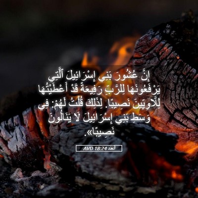 Picture 05 - اَلْعَدَد 18:24 AVD - إِنَّ عُشُورَ بَنِي - Bible Verse Picture