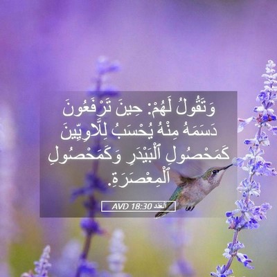 Picture 05 - اَلْعَدَد 18:30 AVD - وَتَقُولُ لَهُمْ: حِينَ - Bible Verse Picture
