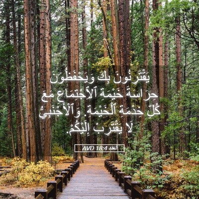 Picture 05 - اَلْعَدَد 18:4 AVD - يَقْتَرِنُونَ بِكَ - Bible Verse Picture