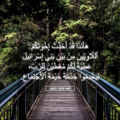 Picture 05 - اَلْعَدَد 18:6 AVD - هَأَنَذَا قَدْ أَخَذْتُ - Bible Verse Picture