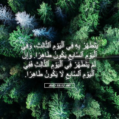 Picture 05 - اَلْعَدَد 19:12 AVD - يَتَطَهَّرُ بِهِ فِي - Bible Verse Picture