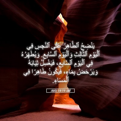 Picture 05 - اَلْعَدَد 19:19 AVD - يَنْضِحُ ٱلطَّاهِرُ عَلَى - Bible Verse Picture