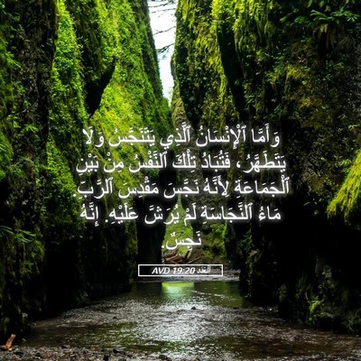 Picture 05 - اَلْعَدَد 19:20 AVD - وَأَمَّا ٱلْإِنْسَانُ - Bible Verse Picture