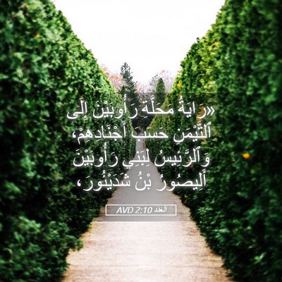 Picture 05 - اَلْعَدَد 2:10 AVD - «رَايَةُ مَحَلَّةِ - Bible Verse Picture