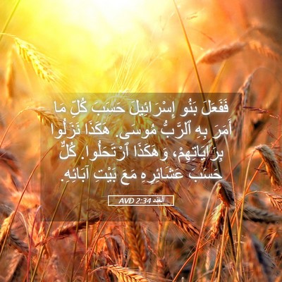 Picture 05 - اَلْعَدَد 2:34 AVD - فَفَعَلَ بَنُو - Bible Verse Picture