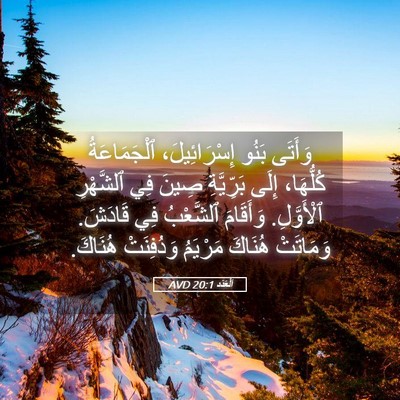 Picture 05 - اَلْعَدَد 20:1 AVD - وَأَتَى بَنُو - Bible Verse Picture