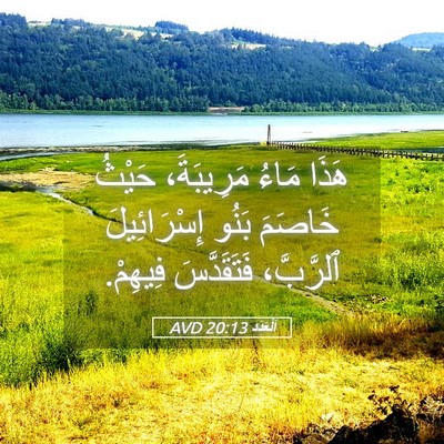 Picture 05 - اَلْعَدَد 20:13 AVD - هَذَا مَاءُ مَرِيبَةَ، - Bible Verse Picture