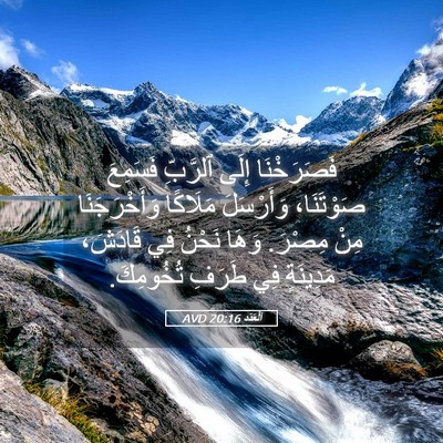 Picture 05 - اَلْعَدَد 20:16 AVD - فَصَرَخْنَا إِلَى - Bible Verse Picture