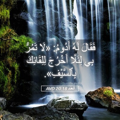Picture 05 - اَلْعَدَد 20:18 AVD - فَقَالَ لَهُ أَدُومُ: «لَا - Bible Verse Picture