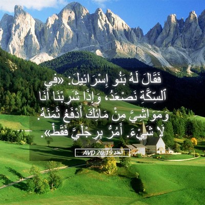 Picture 05 - اَلْعَدَد 20:19 AVD - فَقَالَ لَهُ بَنُو - Bible Verse Picture