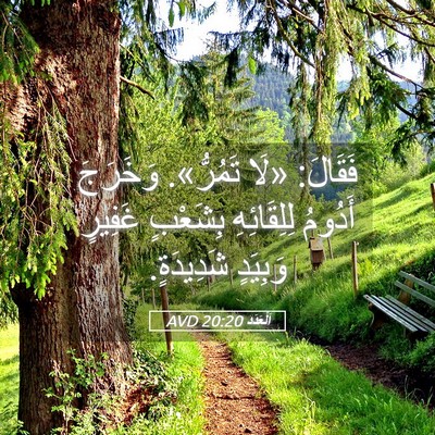 Picture 05 - اَلْعَدَد 20:20 AVD - فَقَالَ: «لَا تَمُرُّ». - Bible Verse Picture
