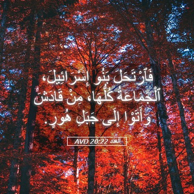 Picture 05 - اَلْعَدَد 20:22 AVD - فَٱرْتَحَلَ بَنُو - Bible Verse Picture