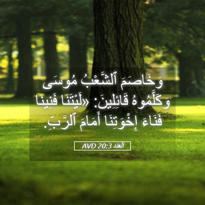 Picture 05 - اَلْعَدَد 20:3 AVD - وَخَاصَمَ ٱلشَّعْبُ - Bible Verse Picture