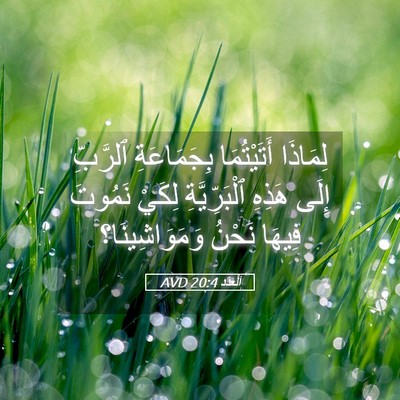 Picture 05 - اَلْعَدَد 20:4 AVD - لِمَاذَا أَتَيْتُمَا - Bible Verse Picture