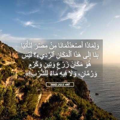 Picture 05 - اَلْعَدَد 20:5 AVD - وَلِمَاذَا - Bible Verse Picture
