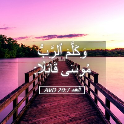 Picture 05 - اَلْعَدَد 20:7 AVD - وَكَلَّمَ ٱلرَّبُّ مُوسَى - Bible Verse Picture