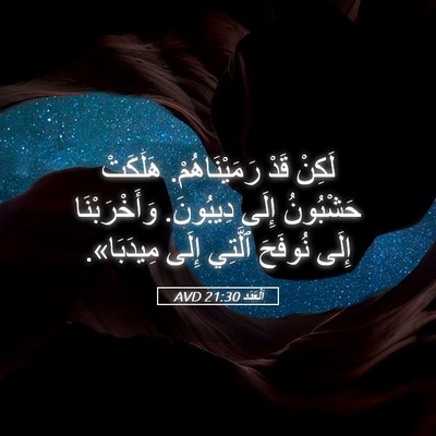 Picture 05 - اَلْعَدَد 21:30 AVD - لَكِنْ قَدْ رَمَيْنَاهُمْ. - Bible Verse Picture