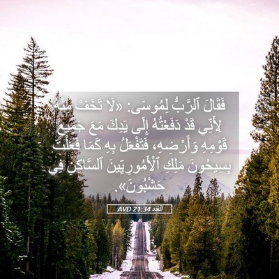 Picture 05 - اَلْعَدَد 21:34 AVD - فَقَالَ ٱلرَّبُّ لِمُوسَى: - Bible Verse Picture