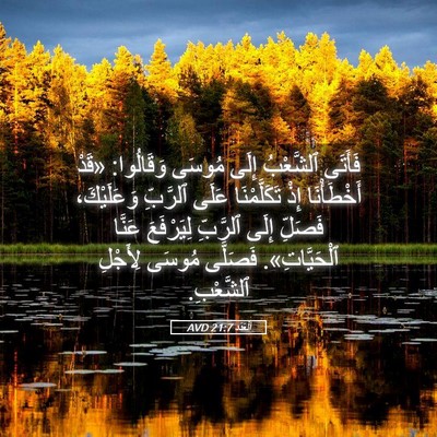 Picture 05 - اَلْعَدَد 21:7 AVD - فَأَتَى ٱلشَّعْبُ إِلَى - Bible Verse Picture