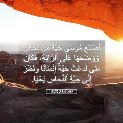 Picture 05 - اَلْعَدَد 21:9 AVD - فَصَنَعَ مُوسَى حَيَّةً - Bible Verse Picture
