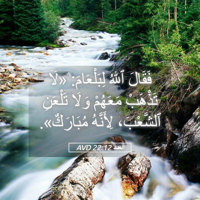 Picture 05 - اَلْعَدَد 22:12 AVD - فَقَالَ ٱللهُ لِبَلْعَامَ: - Bible Verse Picture
