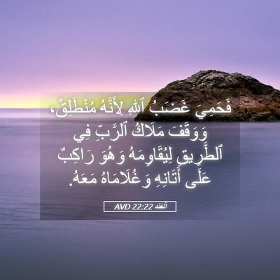 Picture 05 - اَلْعَدَد 22:22 AVD - فَحَمِيَ غَضَبُ ٱللهِ - Bible Verse Picture