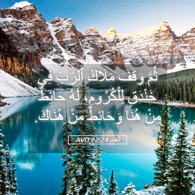 Picture 05 - اَلْعَدَد 22:24 AVD - ثُمَّ وَقَفَ مَلَاكُ - Bible Verse Picture