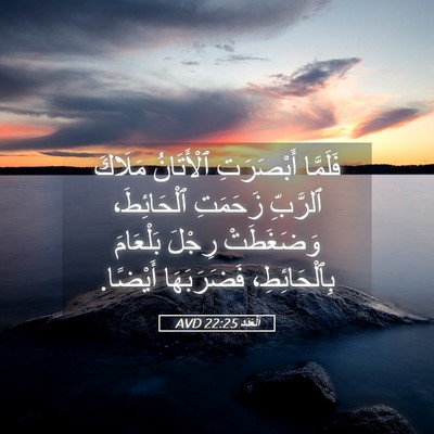 Picture 05 - اَلْعَدَد 22:25 AVD - فَلَمَّا أَبْصَرَتِ - Bible Verse Picture
