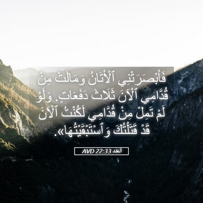Picture 05 - اَلْعَدَد 22:33 AVD - فَأَبْصَرَتْنِي - Bible Verse Picture