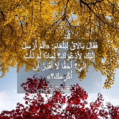 Picture 05 - اَلْعَدَد 22:37 AVD - فَقَالَ بَالَاقُ - Bible Verse Picture