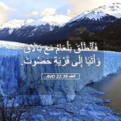 Picture 05 - اَلْعَدَد 22:39 AVD - فَٱنْطَلَقَ بَلْعَامُ - Bible Verse Picture