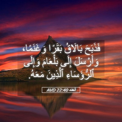 Picture 05 - اَلْعَدَد 22:40 AVD - فَذَبَحَ بَالَاقُ بَقَرًا - Bible Verse Picture