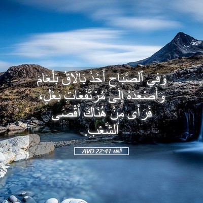 Picture 05 - اَلْعَدَد 22:41 AVD - وَفِي ٱلصَّبَاحِ أَخَذَ - Bible Verse Picture