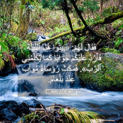 Picture 05 - اَلْعَدَد 22:8 AVD - فَقَالَ لَهُمْ: «بِيتُوا - Bible Verse Picture