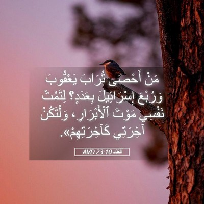 Picture 05 - اَلْعَدَد 23:10 AVD - مَنْ أَحْصَى تُرَابَ - Bible Verse Picture