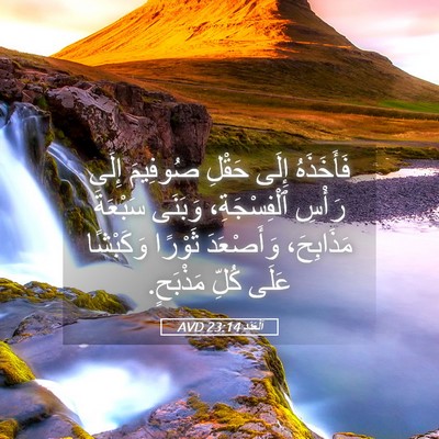 Picture 05 - اَلْعَدَد 23:14 AVD - فَأَخَذَهُ إِلَى حَقْلِ - Bible Verse Picture