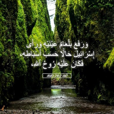 Picture 05 - اَلْعَدَد 24:2 AVD - وَرَفَعَ بَلْعَامُ - Bible Verse Picture