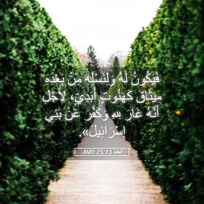 Picture 05 - اَلْعَدَد 25:13 AVD - فَيَكُونُ لَهُ - Bible Verse Picture
