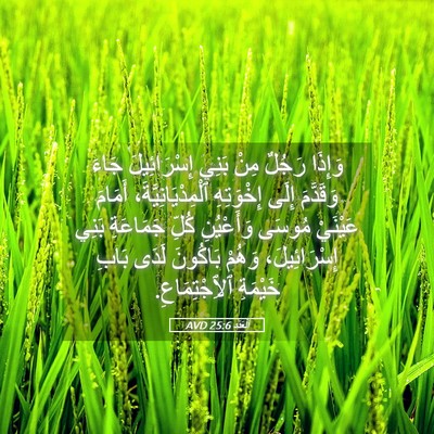 Picture 05 - اَلْعَدَد 25:6 AVD - وَإِذَا رَجُلٌ مِنْ بَنِي - Bible Verse Picture
