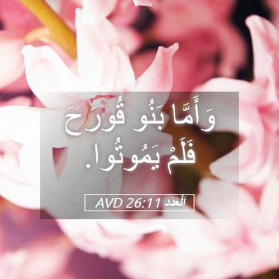 Picture 05 - اَلْعَدَد 26:11 AVD - وَأَمَّا بَنُو قُورَحَ - Bible Verse Picture